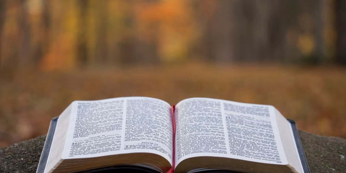 Bible illuminated by warm light